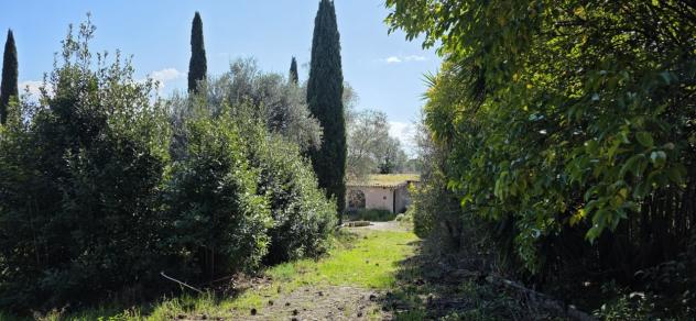 Uliveto in vendita a Morlupo - Foto 2