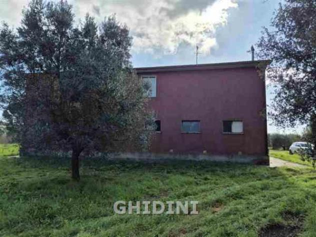 COLONICA di 9 vani e di 250 mq (ORBETELLO - FONTEBLANDA) rif. 2473.500M - Foto 6