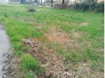 TERRENO EDIFICABILE ZONA RESIDENZIALE VICINO AL CENTRO
