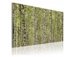 Quadro Tra Le Betulle 60x40 E 120x80 ARREDALACASA