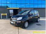 FIAT Panda 1.0 FireFly S&S Hybrid 5 POSTI OK NEOPATENTATI rif. 23491387