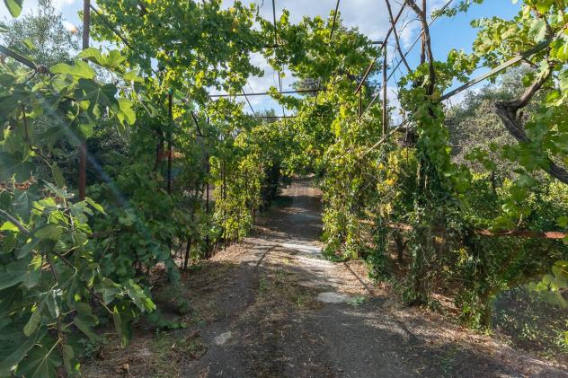 Villa singola in vendita a Belpasso - Foto 3