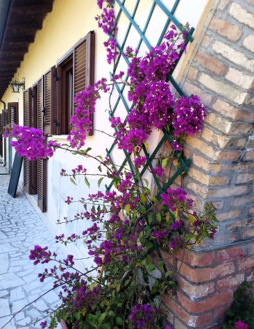 Casale ristrutturato con terreno sui quattro lati - Foto 5