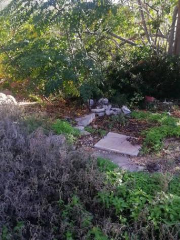 Immobile in asta di 1750 m² con più di 5 locali in vendita a Taviano - Foto 3