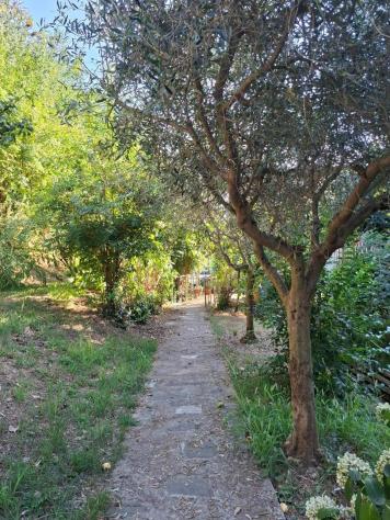 Terreno agricolo in vendita a Termo - Vezzano Ligure 1620 mq Rif: 1427473 - Foto 4