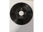 R84 - RINO GIONCHETTA/ GRAZIELLA CALY