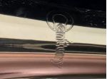 Tromba Century in buono stato compresa di custodia vendo