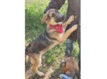 UNA FAMIGLIA PER ZAC!