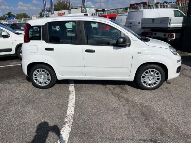 FIAT Pandina Pandina 1.0 firefly hybrid Icon s&s 65cv - Foto 6