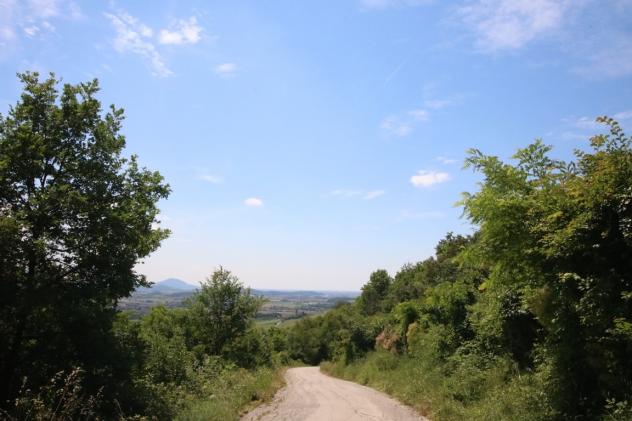 Bosco in vendita a Castegnero - Foto 13