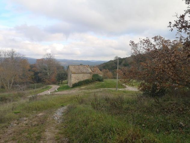 " Il CASALE che VORREI " - Foto 5