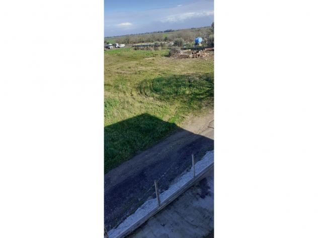 Agricolo in Via Antonio Neviani - Foto 5