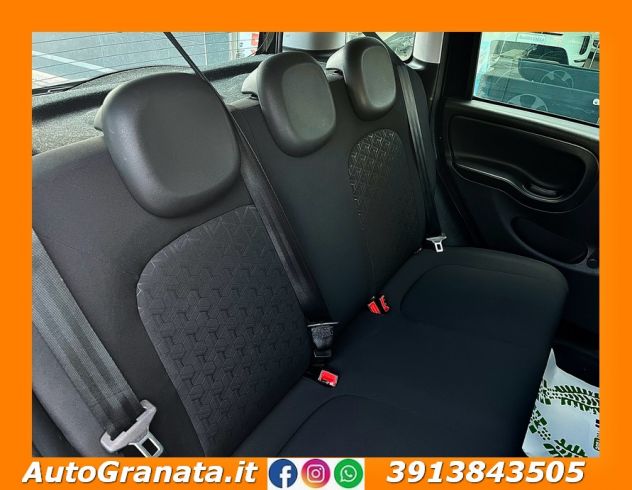 Fiat Panda 1.0 FIREFLY S&S HYBRID CITY CROSS - Foto 8