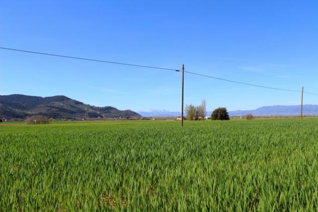 Casa singola in vendita a Puntone - Bientina 370 mq Rif: 722323 - Foto 5