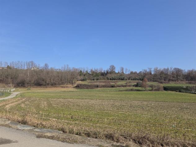 Cascinale Panoramico con magazzini box , stalla e 15.000 mq di terreni agricoli Luserna San Giovanni - Foto 15