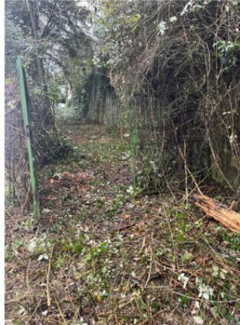 Immobile in asta di 165 m² con più di 5 locali in vendita a Paganico Sabino - Foto 7