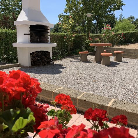 Casa vacanze nel verde tra S. Gimignano e Volterra - Foto 6