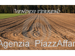 Terreno a Candiana - Rif. CAN3