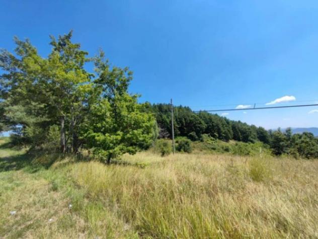 Immobile in asta di 10550 m² in vendita a Pietrabbondante - Foto 6
