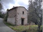 Rustico in vendita a Roccastrada