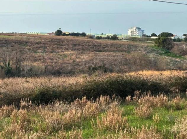 Immobile in asta di 2000 m² in vendita a Termoli - Foto 2