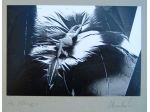 Tre storiche fotografie di Alessandro Gui del 1982