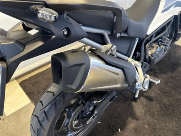 TRIUMPH Tiger 900 GT TIGER 900 GT - Foto 10