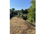 Casa singola in vendita a Stibbio - San Miniato 180 mq  Rif: 1420573
