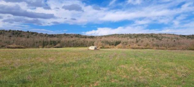 Immobile in asta di 165 m² in vendita a Monteriggioni - Foto 7