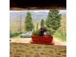 Podere Fontanino