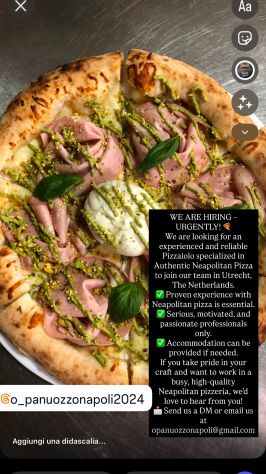 Pizzaiolo Olanda cercasi