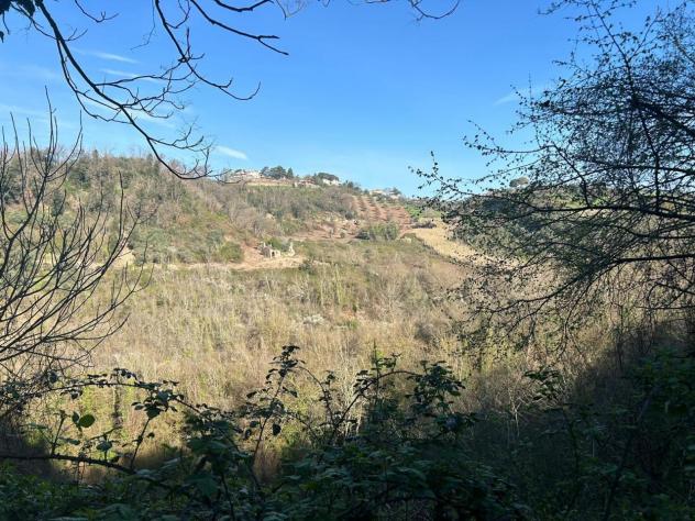 Uliveto in vendita a Morlupo - Foto 16