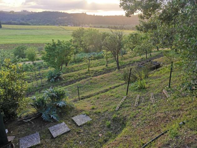 Terreno agricolo in vendita a Poggibonsi 3500 mq Rif: 1335508 - Foto 4