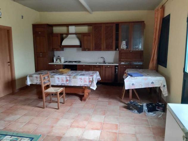 Uliveto in vendita a Siracusa - Foto 6