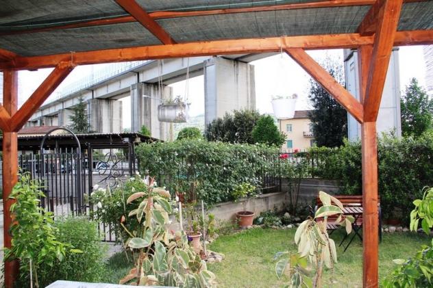 Allerona (Scalo) - Vendesi appartamento in perfette condizioni con giardino - Foto 2