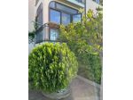 Appartamento in vendita a Montescudaio 46 mq  Rif: 1322779