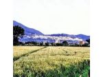 Agriturismo Bellarosa