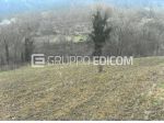 Terreno in vendita a Monastero Bormida - Rif. 4541703
