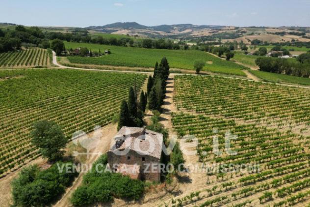 Rustico / Casale di 338 m² con 4 locali in vendita a Montepulciano - Foto 3