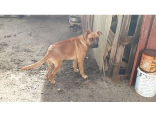 UNA VITA DI BOTTE E LACRIME CHICCO HA SOLO 1 ANNO