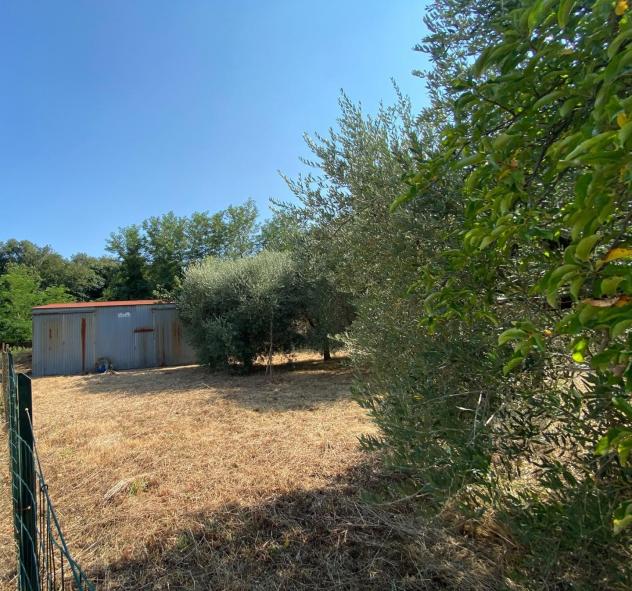 Terreno agricolo in vendita a Buti 1000 mq Rif: 1427835 - Foto 5