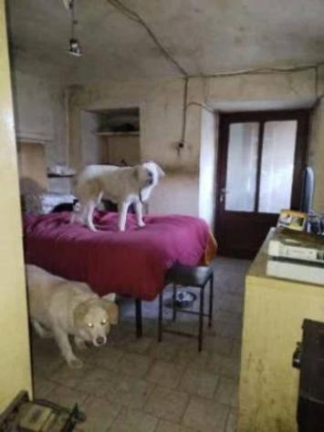 Immobile in asta di 122 m² in vendita a Villar Focchiardo - Foto 2