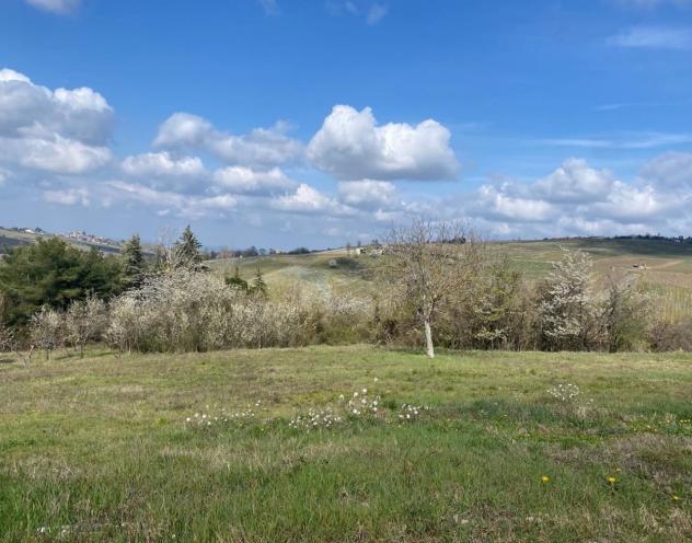 Terreno edificabile in vendita a Ziano Piacentino - Foto 3