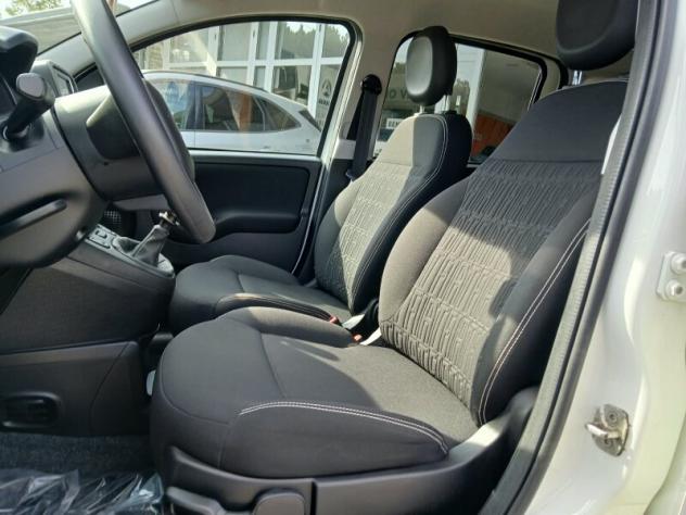 FIAT Panda 3ª serie Panda 1.0 FireFly S&S Hybrid - Foto 7