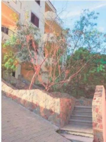 Immobile in asta di 6 m² in vendita a La Maddalena - Foto 9