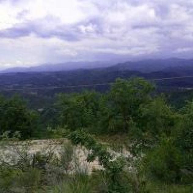 Fattoria La Cona - Foto 2