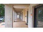 Locale Commerciale