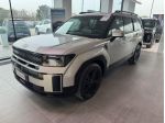 Hyundai Santa Fe Santa Fe 1.6 T-GDi HEV 4WD AT 7 posti XClass