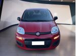 FIAT Pandina Panda My25 1.0 70cv Hybrid Panda