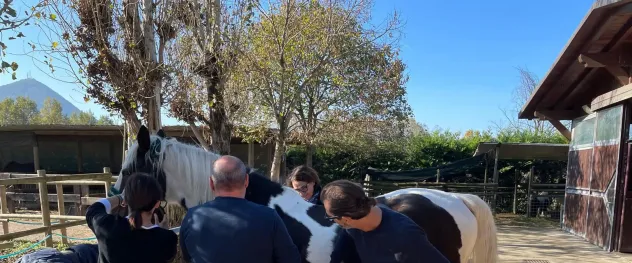 Passeggiate a cavallo PENSIONE PER CAVALLI - Foto 5